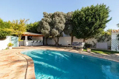 a swimming pool in the backyard of a house with trees at Casa Tambeim in Montinhos da Luz