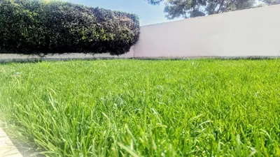 a field of green grass next to a white wall at luz beach home in Luz
