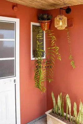 a room with a red wall with a plant at Izzys Place by ESCAPE to Madeira in Ponta do Sol