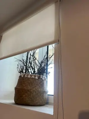 a plant in a basket sitting on a window sill at Casa Solar do Tristão in Santa Maria Madalena