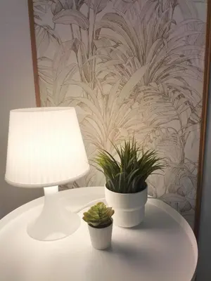 a table with a lamp and two potted plants on it at Casa Solar do Tristão in Santa Maria Madalena