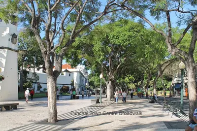 a street with trees and people walking on a sidewalk at OurMadeira - Madalena Living Apt in Funchal