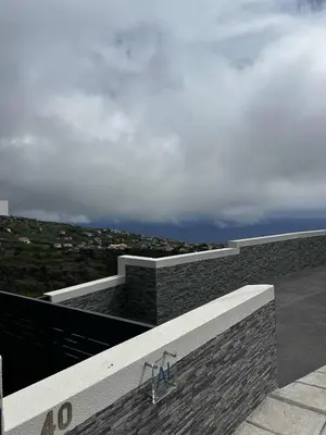 a hill with trees and the ocean in the background at The Barreto's Clive in Ponta do Sol