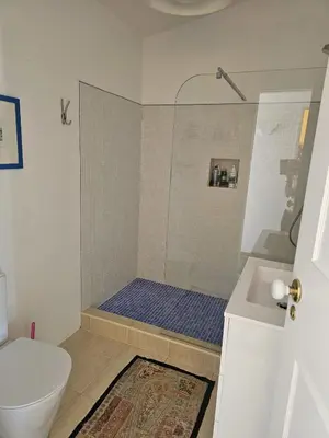 a bathroom with a shower with a toilet and a sink at Talefe Apartment in Luz