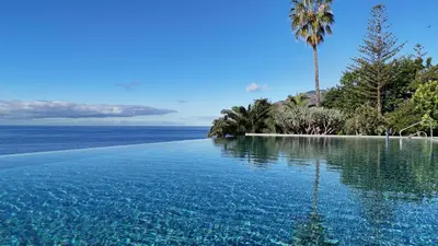 a infinity pool with a palm tree and the ocean at FLH Funchal Seaside at Acqua Residences in Funchal