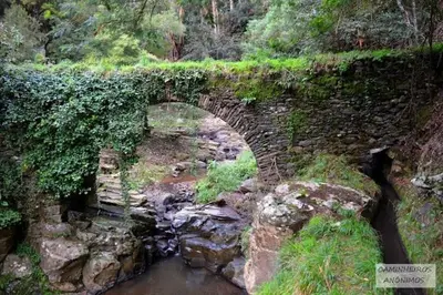 an old stone bridge over a stream in a forest at Villa Júlia, Mountain retreat in Santa Cruz