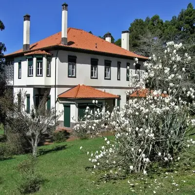 Villa Getaway in Santo António da Serra