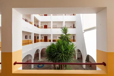 a view from the second floor of a building with a plant at Topside Luz Guesthouse in Luz