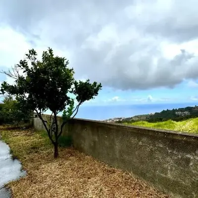Golden View