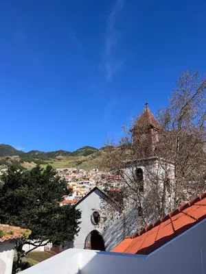 a window with a view of a tree at Machico Village Apartment - Terrace and private parking in Machico