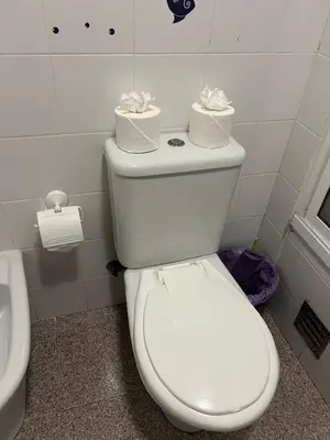 a bathroom with a toilet with two rolls of toilet paper at Mari in Funchal