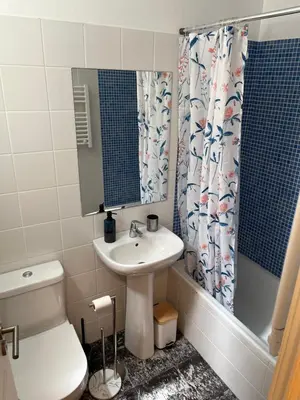 a bathroom with a sink and a toilet and a shower curtain at Bella Vista in Funchal