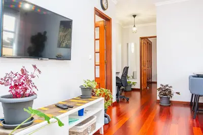 a living room with potted plants on the wall at StayinMachico in Machico