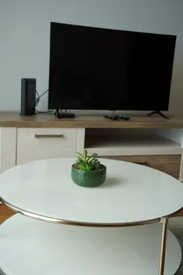 a small plant sitting on a white table in front of a tv at Harbour View Apartment Free Parking in Funchal