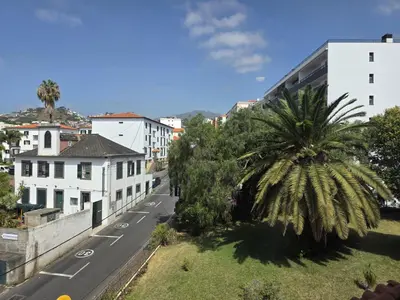 a city street with a palm tree and buildings at Casa Dona by Rentallido in Funchal