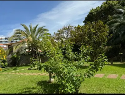 a green park with trees and a palm tree at Garajau Madeira Holidays in Caniço