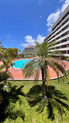 a palm tree in front of a building with a pool at Forum Palace Madeira in Funchal