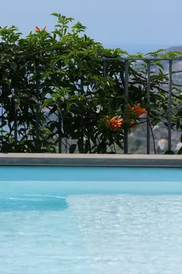 a swimming pool with a fence and orange flowers at Vila Venusta by An Island Apart in Calheta