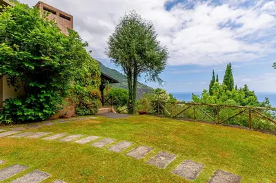 a garden with a grassy yard with a fence at Casa do Jardim Botanico in Faial