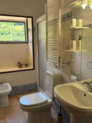 a bathroom with a toilet and a sink at Boaventura Cottage-Casa de Campo in Serra de Água