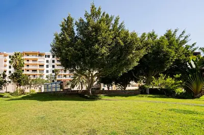 a park with trees and a building in the background at Apartamento da Silva by An Island Apart in Funchal