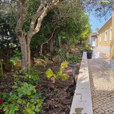 a garden with a tree and plants and a sidewalk at Casa Azul in Luz