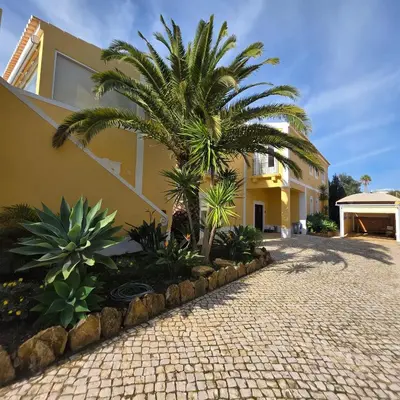 a house with palm trees in front of a driveway at Casa Azul in Luz
