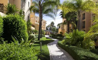 a garden with purple flowers and green plants at Estréla da Luz CasaValerie studio with gym and indoor pool in Luz