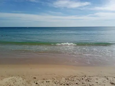 a beach with palm trees next to the ocean at Estréla da Luz CasaValerie studio with gym and indoor pool in Luz