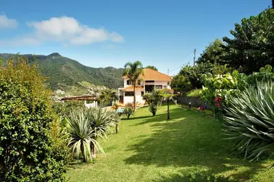 a yard with palm trees and a house at Traveller's House in Machico