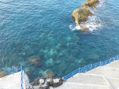 an aerial view of the ocean with rocks and water at Shearwaternest Apartment AL in Funchal