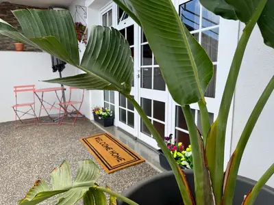 a porch with a plant and a sign on the ground at Airport Oasis in Santa Cruz