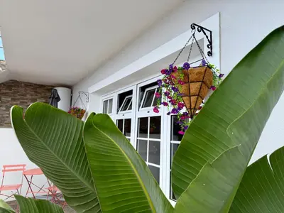 a front door of a house with green leaves at Airport Oasis in Santa Cruz