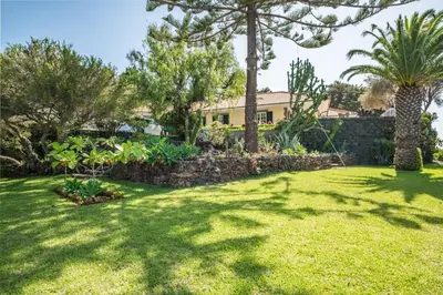 a yard with palm trees and a stone wall at PRIVATE OCEANFRONT DELUXE VILLA PICO 360 VIEWs in Funchal