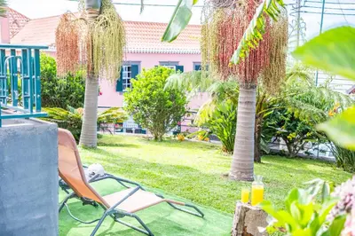 a patio with chairs and palm trees in a yard at Villa Por do Sol in Ponta do Sol