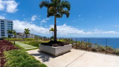 a palm tree in a planter next to the ocean at Oceanalis by LovelyStay in Funchal