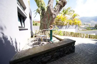 a table and a chair in front of a tree at Modern Studio with Kitchen & Secure Parking in Funchal in Funchal