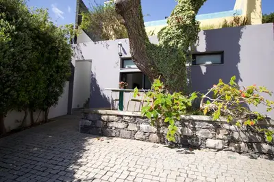 a house with a tree in front of it at Modern Studio with Kitchen & Secure Parking in Funchal in Funchal