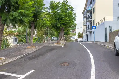 an empty street with trees on the side of the road at Carmo Lookout in Câmara de Lobos