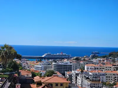 a view of a city with a cruise ship in the water at Mar e Sol Chic & Modern City Apartment in Funchal