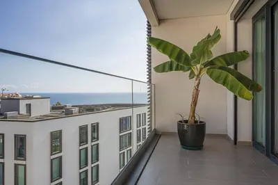 a plant in a pot on the balcony of a building at Madeira Aqua Dream in Funchal