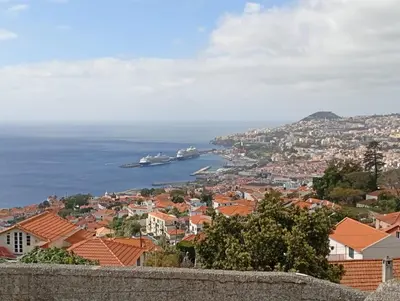 a view of a city with ships in the water at Geovanny house in Funchal