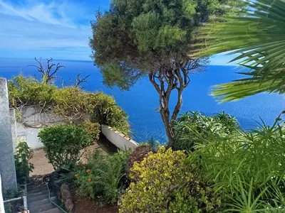 a view of the ocean from a garden at Private Oceanfront Cottage with 180 degree Sea View, 100 m Terrace in Funchal