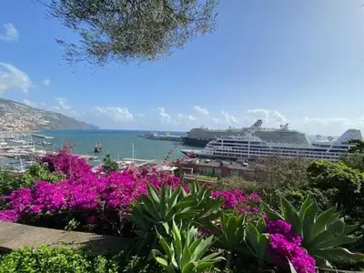 a view of a harbor with purple flowers and cruise ships at Funchal City Marina Apartment in Funchal