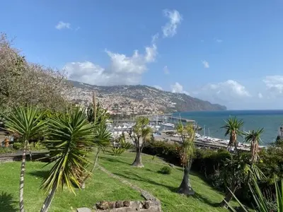 a group of palm trees in a park next to the ocean at Funchal City Marina Apartment in Funchal