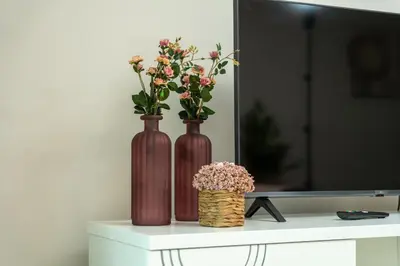 two brown vases with flowers on top of a tv at Alameda Formosa Varanda Zona Turística Funchal in Funchal