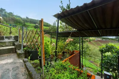 a table with a pink table cloth on a patio at Luci's House B in São Jorge
