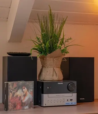 a potted plant sitting on top of a television at The Yellow Cottage Nature House São Vicente Madeira Island in São Vicente