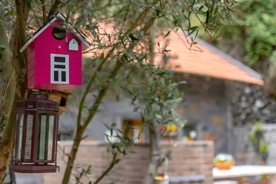 a pink bird house hanging from a tree at The Yellow Cottage Nature House São Vicente Madeira Island in São Vicente