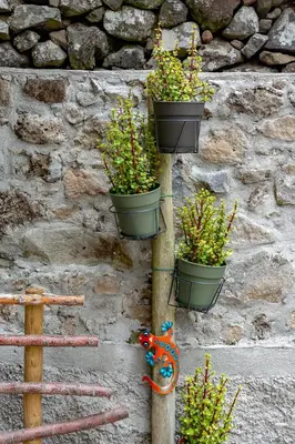 a wooden pole with potted plants on a wall at The Yellow Cottage Nature House São Vicente Madeira Island in São Vicente